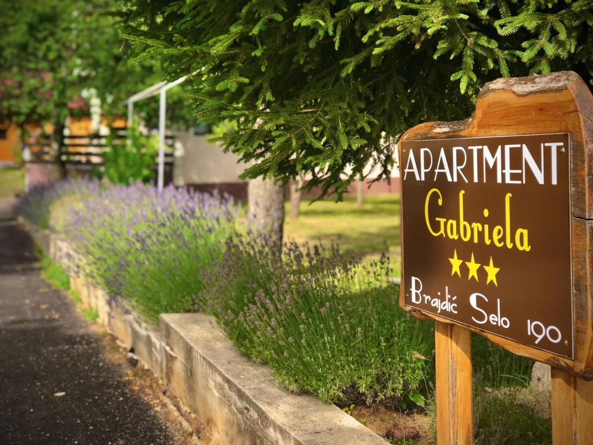 Apartment Gabriela Rakovica Exterior foto